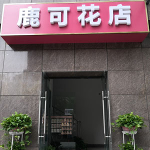 西安鹿可花店