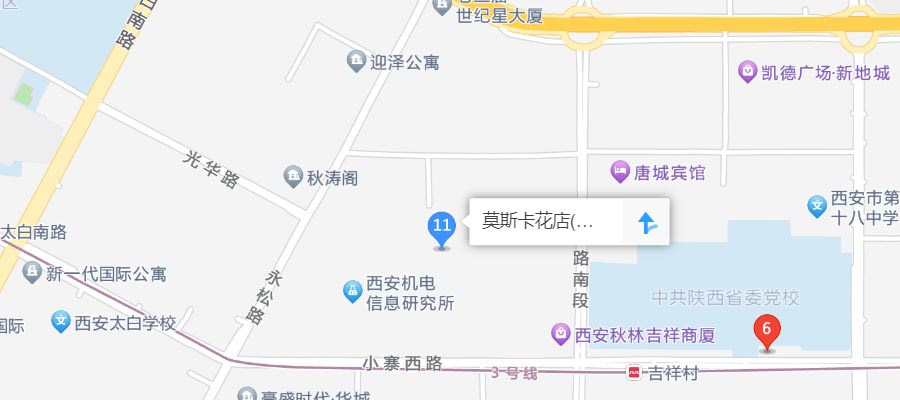 西安莫斯卡花店位置