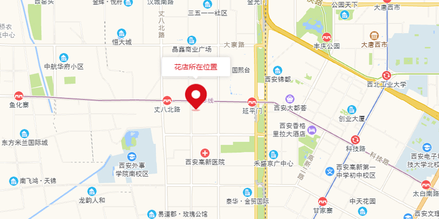 西安蝴蝶兰鲜花店地图