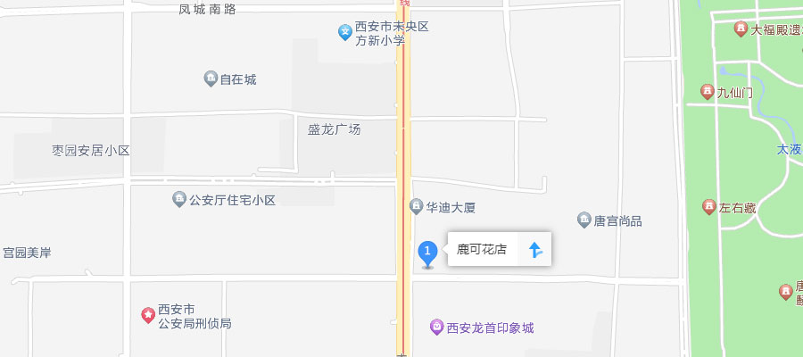 西安鹿可花店位置