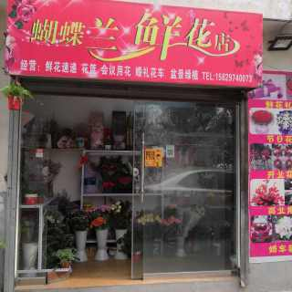 西安蝴蝶兰鲜花店