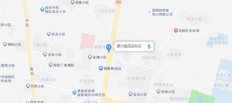 西安蒙小姐花店位置