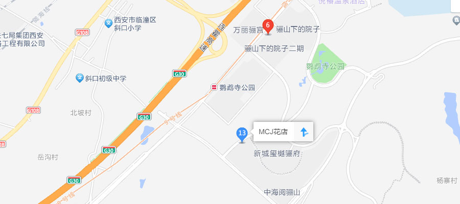 西安MCJ花店位置