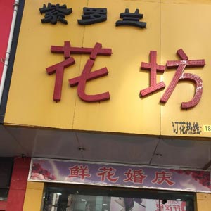 西安紫罗兰花店