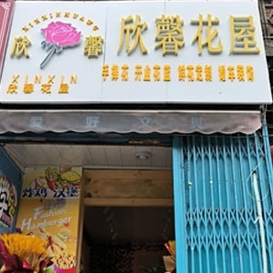 西安欣馨花屋花店