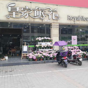 西安皇家鲜花(含元花卉市场店)