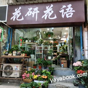 西安花研花语花店